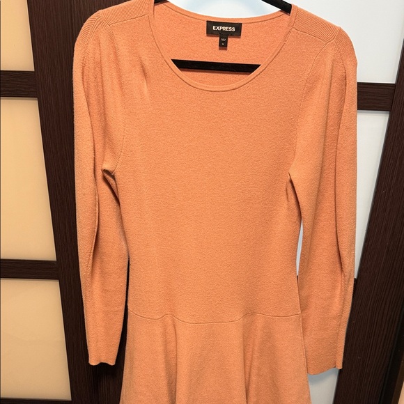 Express Blush Long Sleeve Mini Dress - Picture 7 of 7